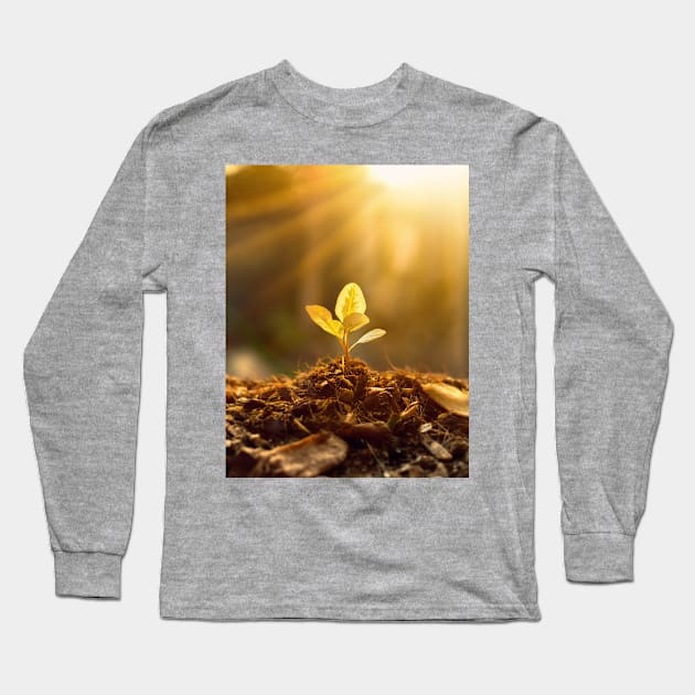 tree sapling in morning light Long Sleeve T-Shirt by psychoshadow